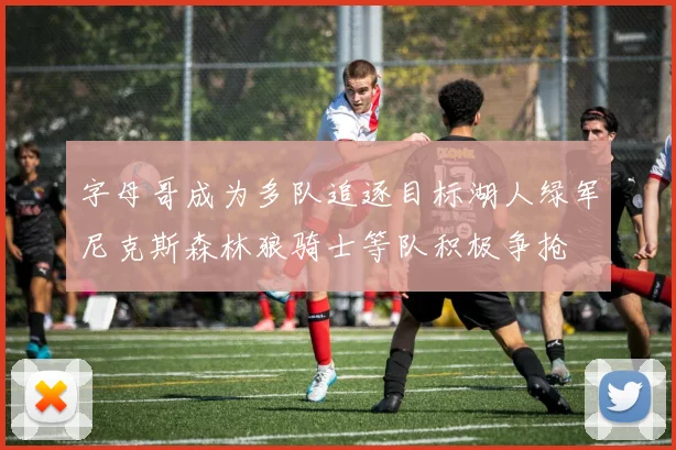 字母哥成为多队追逐目标湖人绿军尼克斯森林狼骑士等队积极争抢